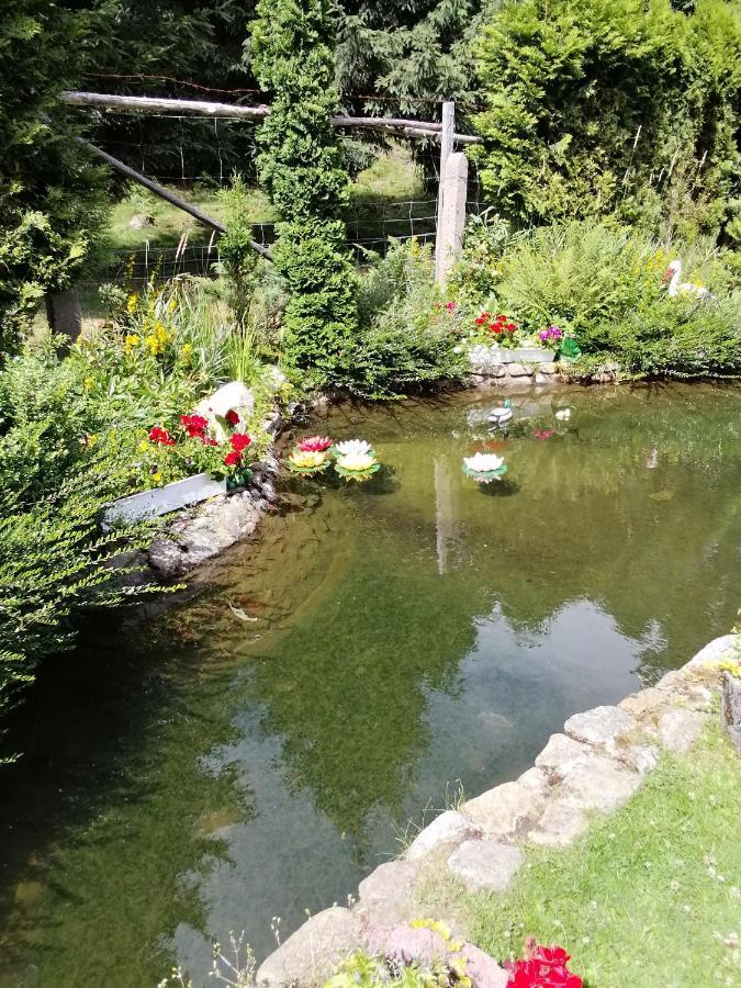 Pasja Bed & Breakfast Świeradów-Zdrój Екстериор снимка