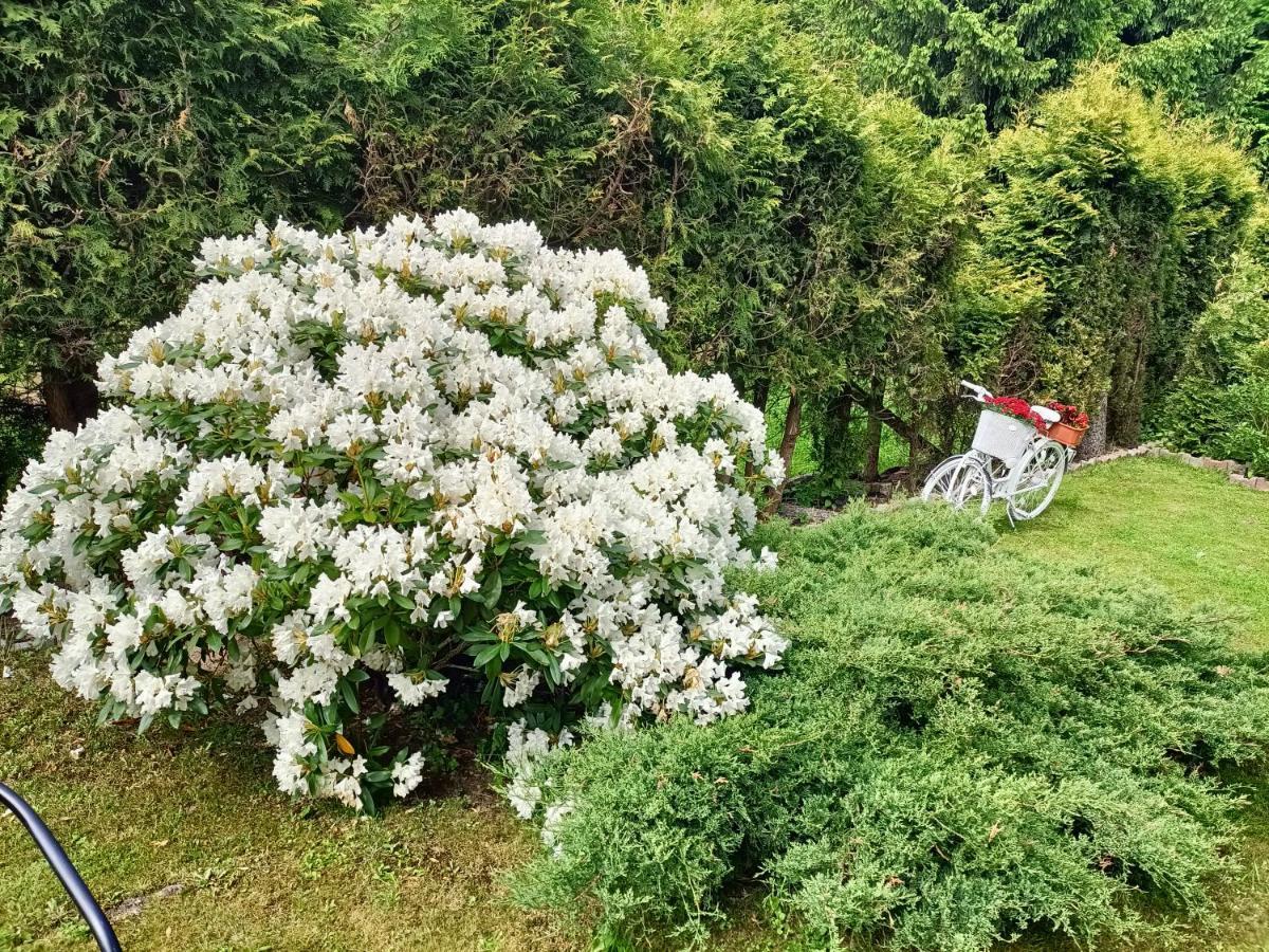 Pasja Bed & Breakfast Świeradów-Zdrój Екстериор снимка